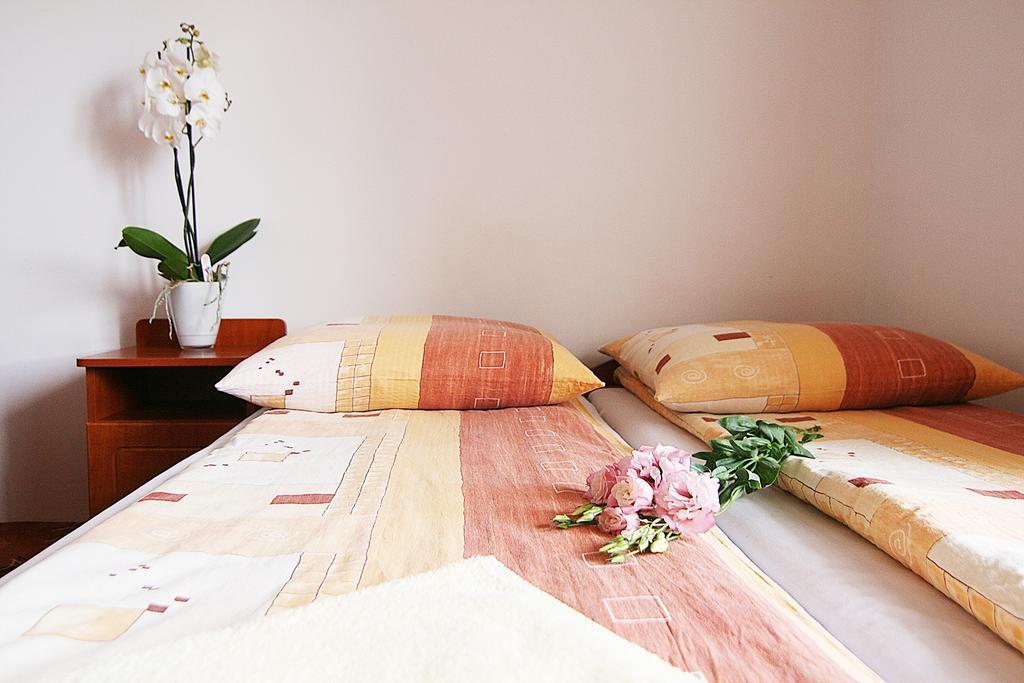 Willa Slavita Wygodne Pokoje Z Lazienkami, Tv, Wifi, Duzy Parking Ul Pardalowka ザコパネ 部屋 写真
